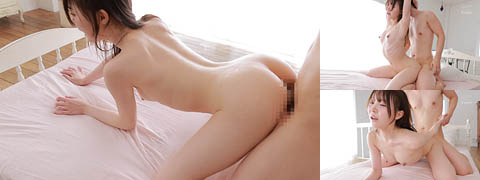 ipzz0082203