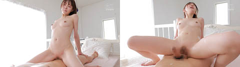 ipzz0082204